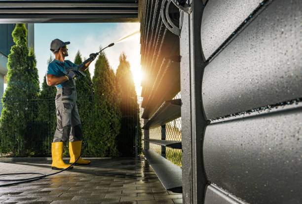 Best Soft Washing for Delicate Surfaces in Saint John Fisher College, NY