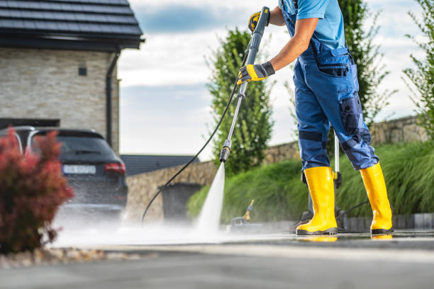 Best Roof Cleaning and Mildew Removal in Saint John Fisher College, NY